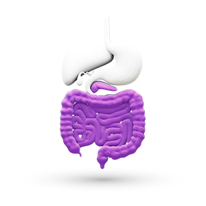 Gastrointestinalno področje